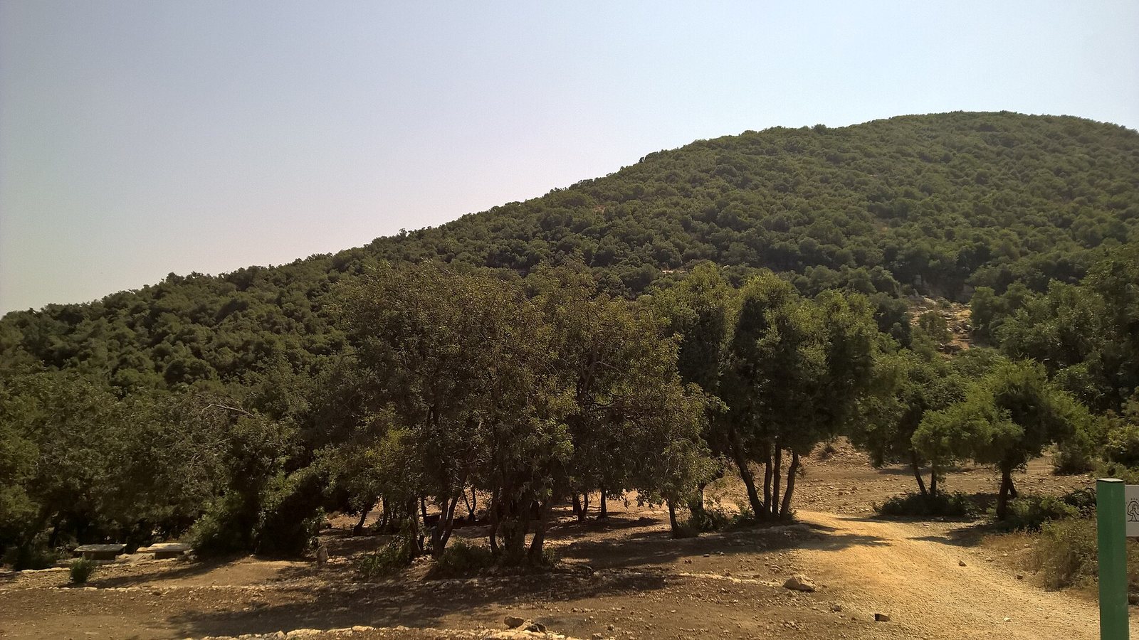 הר מירון